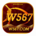 W567 Game
